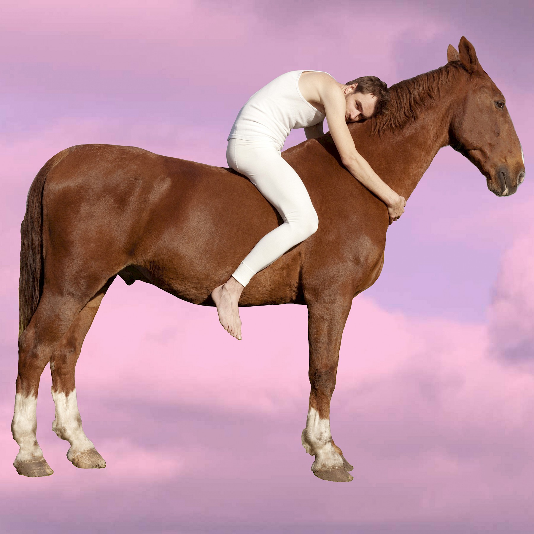 Image - Vinyl cover